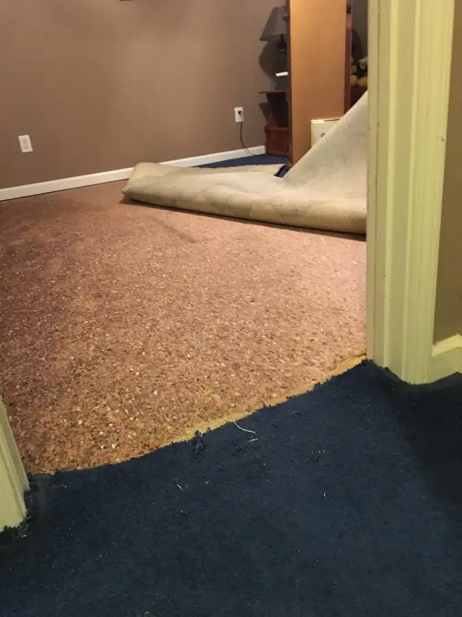 Carpet pad removal revealing water damage during Water Mitigation Services in Boxford